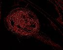  (625Wx500H) -  