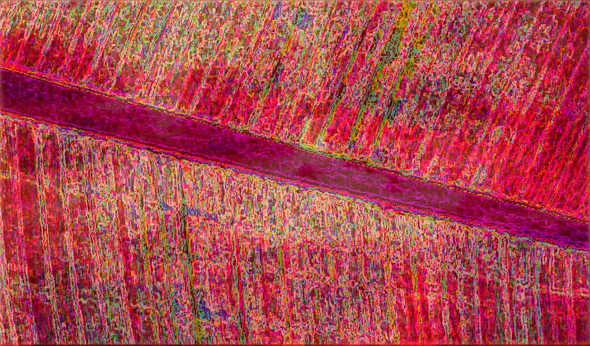 Download Leaf Detail  (851Wx500H)