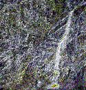  (480Wx500H) -  