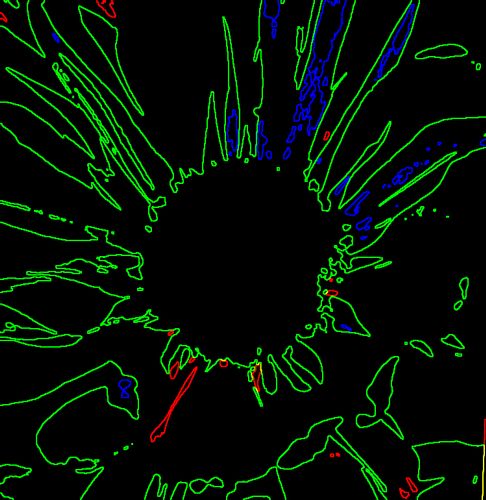 Download Green SunFlower  (486Wx500H)