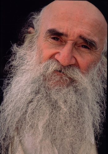 Download  (350Wx500H)